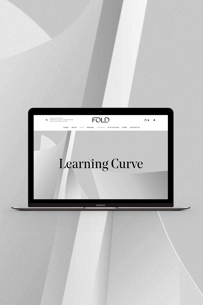 The Fold: Learning Curve